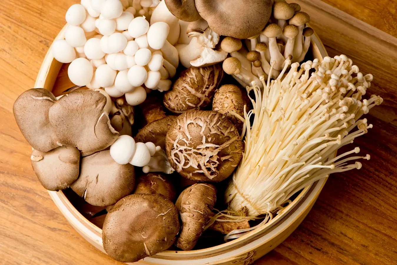 Medicinal Mushroom Powders